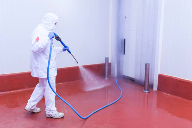 Best Graffiti Removal  in Stuart, FL